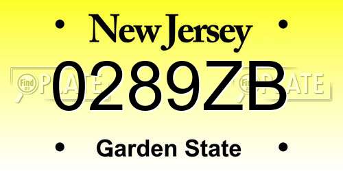 0289ZB New Jersey License Plate