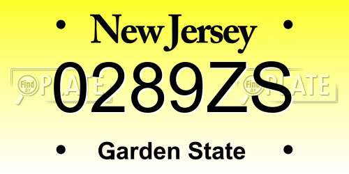 0289ZS New Jersey License Plate