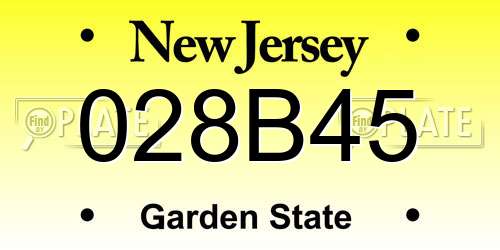 028B45 New Jersey License Plate