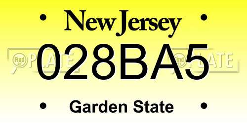 028BA5 New Jersey License Plate