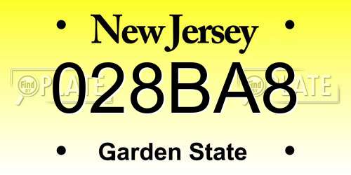 028BA8 New Jersey License Plate