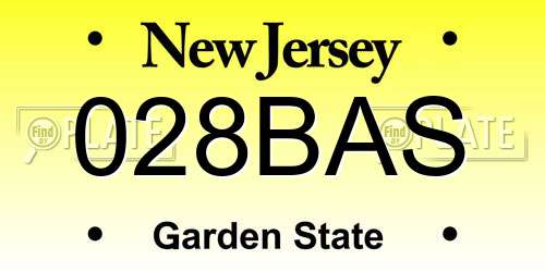 028BAS New Jersey License Plate