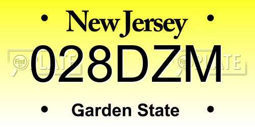 028DZM New Jersey License Plate