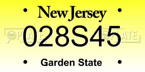028S45 New Jersey License Plate