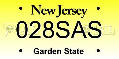 028SAS New Jersey License Plate