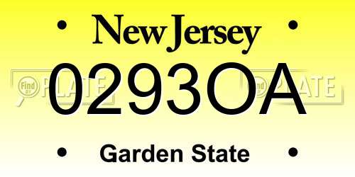 0293OA New Jersey License Plate