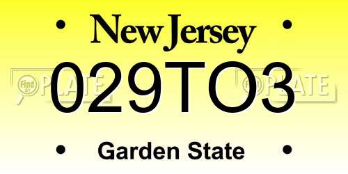 029TO3 New Jersey License Plate
