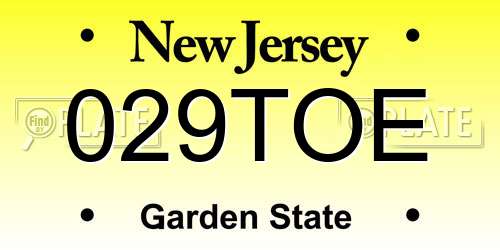 029TOE New Jersey License Plate