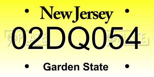 02DQ054 New Jersey License Plate