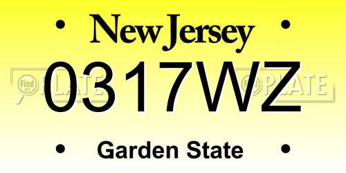 0317WZ New Jersey License Plate