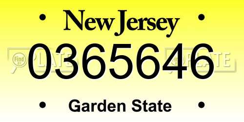 0365646 New Jersey License Plate