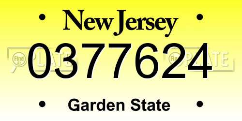 0377624 New Jersey License Plate