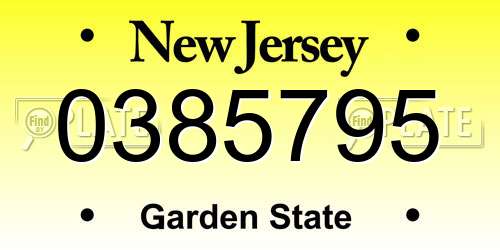 0385795 New Jersey License Plate