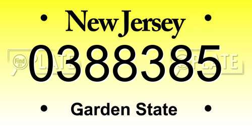 0388385 New Jersey License Plate