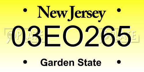03EO265 New Jersey License Plate