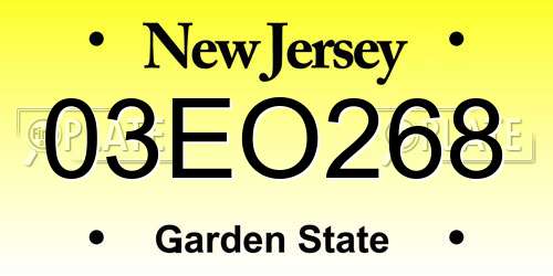 03EO268 New Jersey License Plate