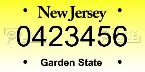0423456 New Jersey License Plate