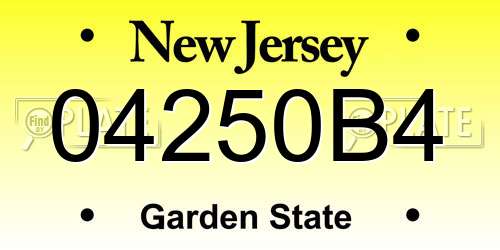 04250B4 New Jersey License Plate