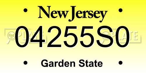 04255S0 New Jersey License Plate