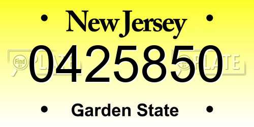 0425850 New Jersey License Plate