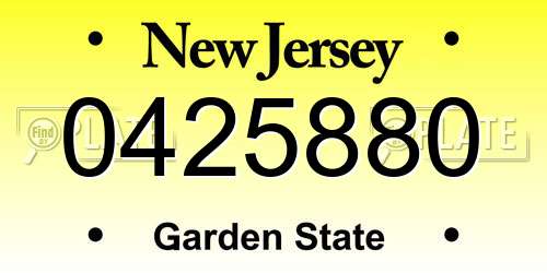 0425880 New Jersey License Plate