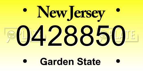 0428850 New Jersey License Plate