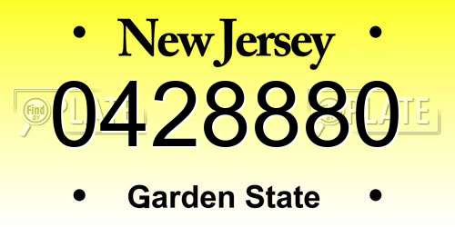 0428880 New Jersey License Plate