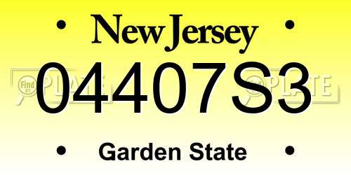 04407S3 New Jersey License Plate