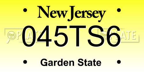 045TS6 New Jersey License Plate