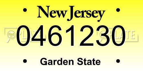 0461230 New Jersey License Plate