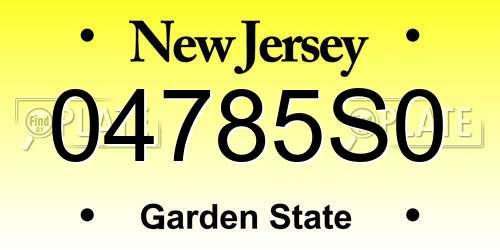 04785S0 New Jersey License Plate