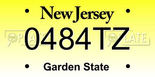 0484TZ New Jersey License Plate