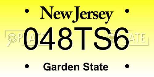048TS6 New Jersey License Plate