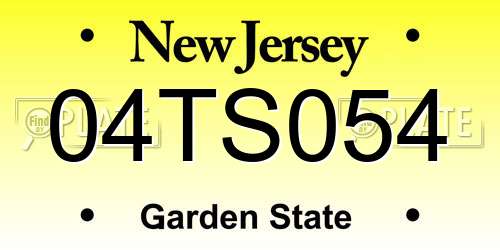 04TS054 New Jersey License Plate