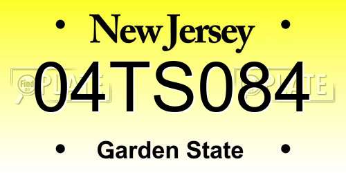 04TS084 New Jersey License Plate