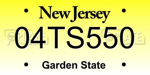 04TS550 New Jersey License Plate