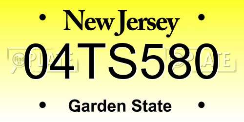 04TS580 New Jersey License Plate