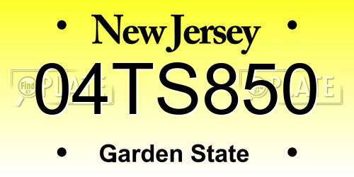 04TS850 New Jersey License Plate