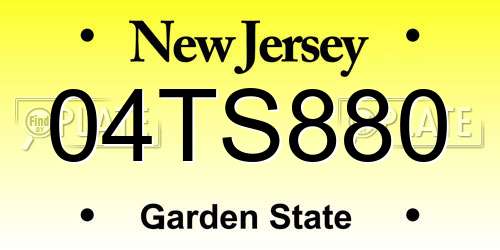 04TS880 New Jersey License Plate
