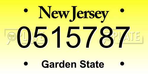 0515787 New Jersey License Plate