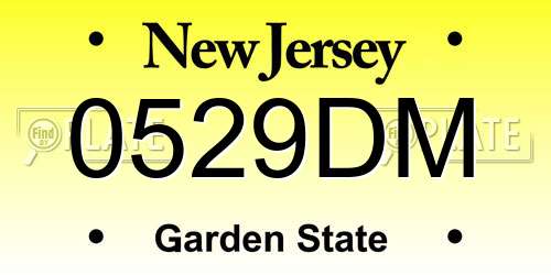 0529DM New Jersey License Plate