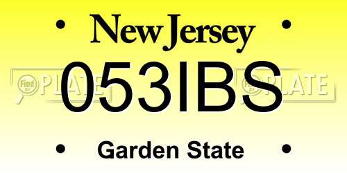 053IBS New Jersey License Plate