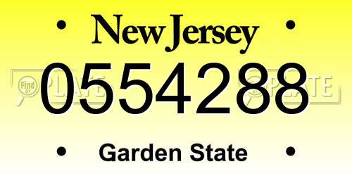 0554288 New Jersey License Plate