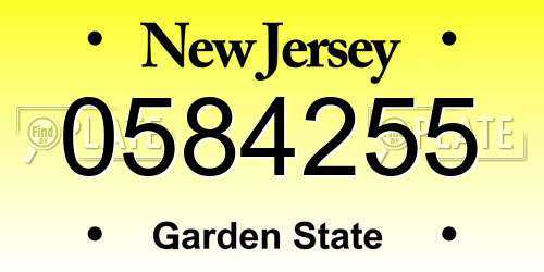 0584255 New Jersey License Plate