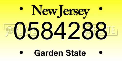 0584288 New Jersey License Plate