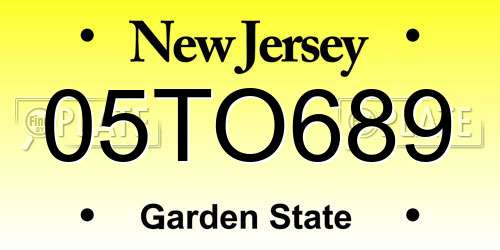 05TO689 New Jersey License Plate