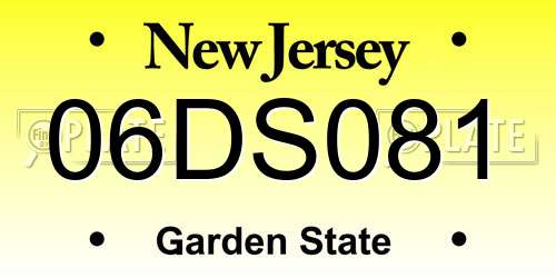 06DS081 New Jersey License Plate