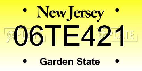 06TE421 New Jersey License Plate