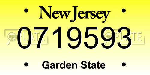 0719593 New Jersey License Plate