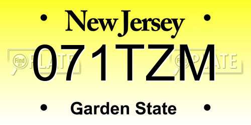 071TZM New Jersey License Plate